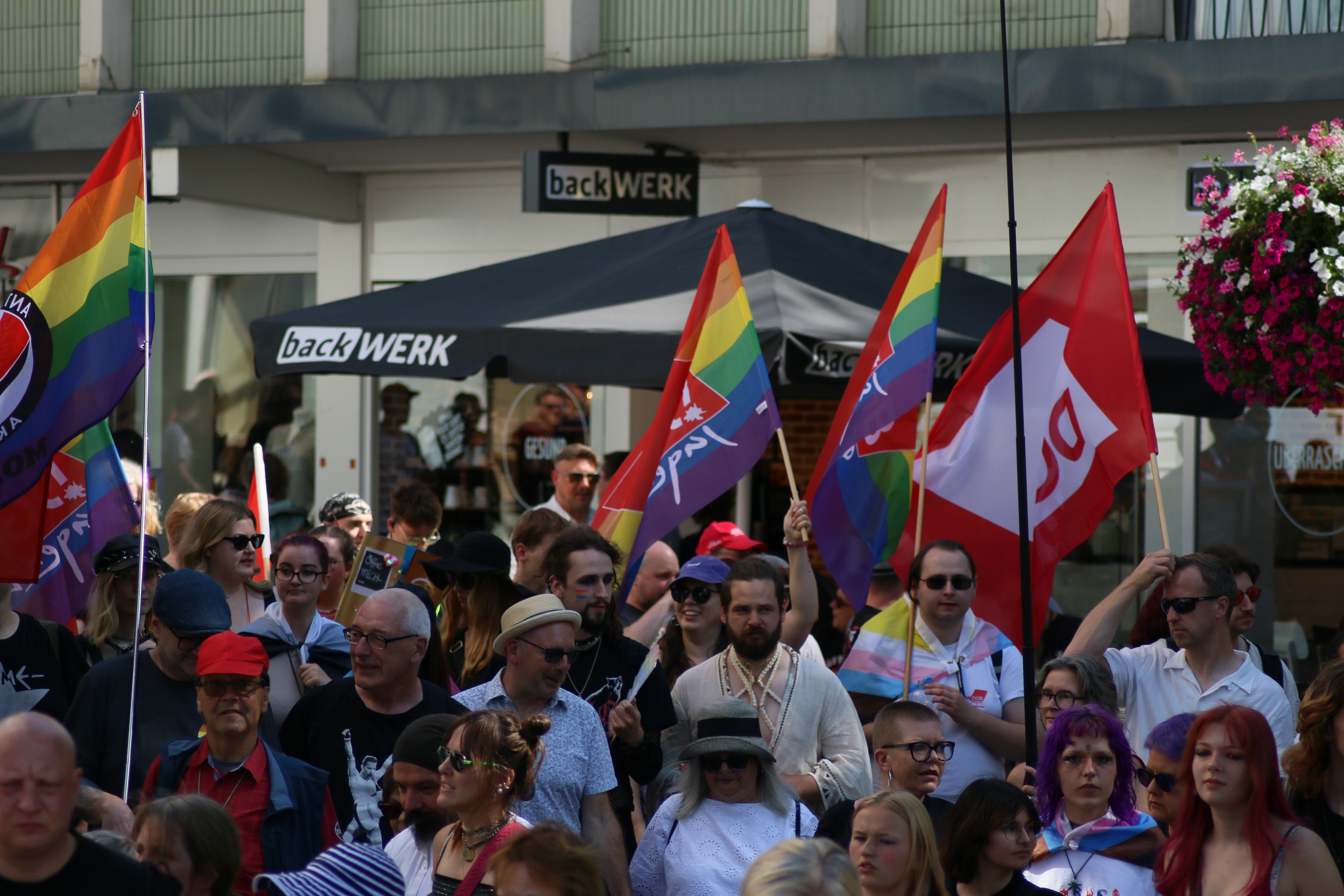 Album: CSD